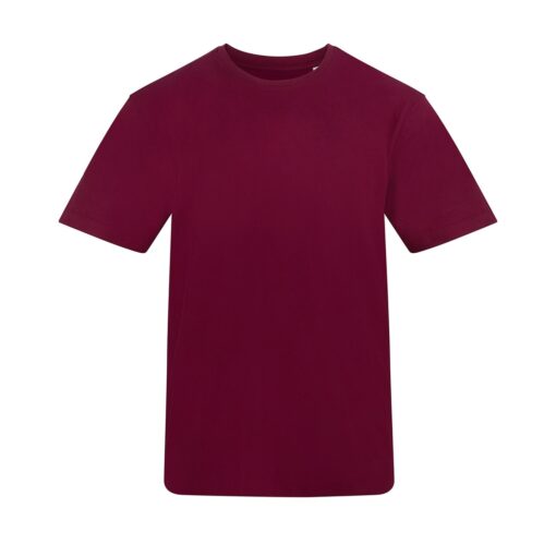 The-AWDis-150-T-Shirt-BUR