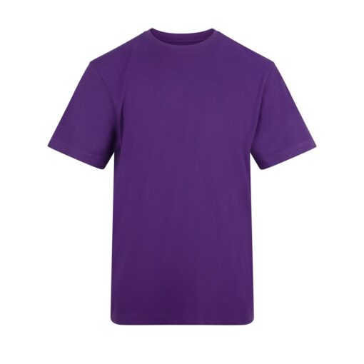 The-AWDis-150-T-Shirt-P