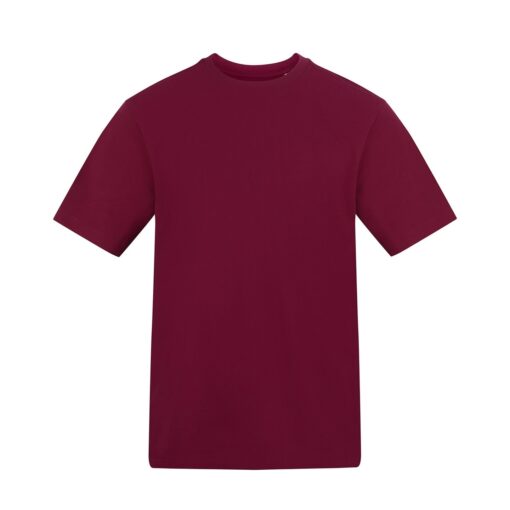 The-AWDis-180-T-Shirt-BUR
