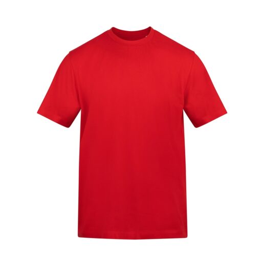 The-AWDis-180-T-Shirt-FR