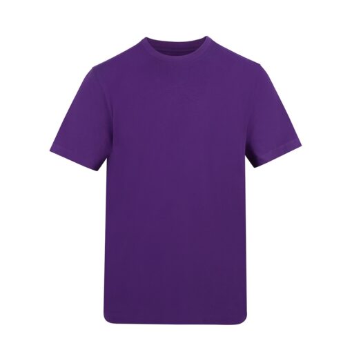 The-AWDis-180-T-Shirt-P
