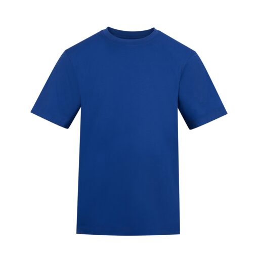 The-AWDis-180-T-Shirt-RB
