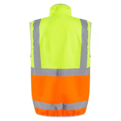 Yellow/Orange back