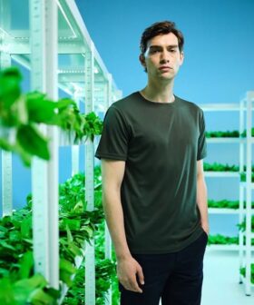 Regatta Pro Wicking T-Shirt