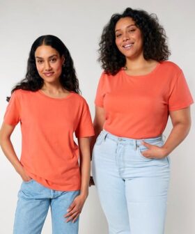 Stanley Stella Serena Iconic Mid-Light T-Shirt – Ladies